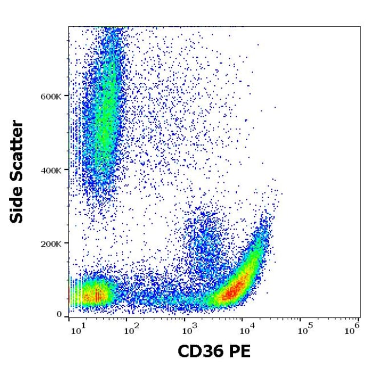 Flow Cytometry - Anti-CD36 Antibody [CB38] (PE) (A86175)