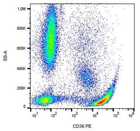 Flow Cytometry - Anti-CD36 Antibody [CB38 (NL07)] (PE) (A86173) - Antibodies.com