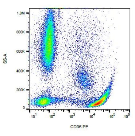 Flow Cytometry - Anti-CD36 Antibody [CB38 (NL07)] (PE) (A86173) - Antibodies.com