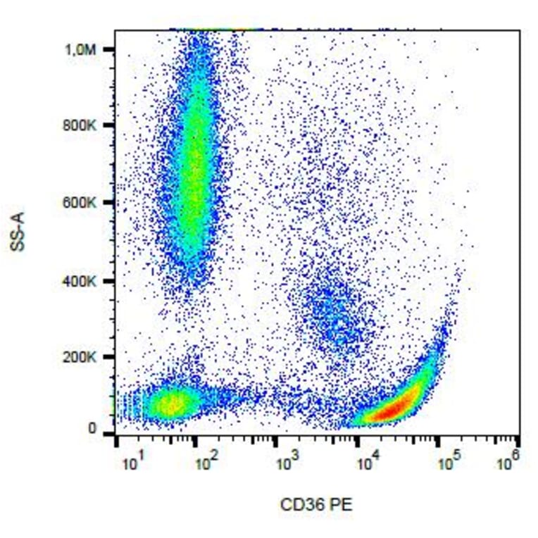 Flow Cytometry - Anti-CD36 Antibody [CB38 (NL07)] (PE) (A86173) - Antibodies.com