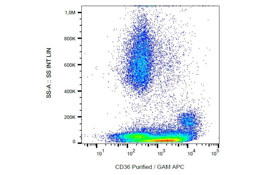 Flow Cytometry - Anti-CD36 Antibody [CB38] (A86176)