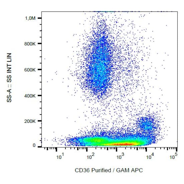 Flow Cytometry - Anti-CD36 Antibody [CB38] (A86176)