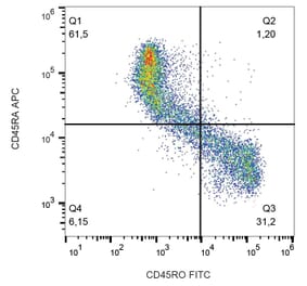 Flow Cytometry - Anti-CD45RO Antibody [UCHL1] (FITC) (A86177) - Antibodies.com