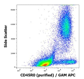 Flow Cytometry - Anti-CD45RO Antibody [UCHL1] (A86181)