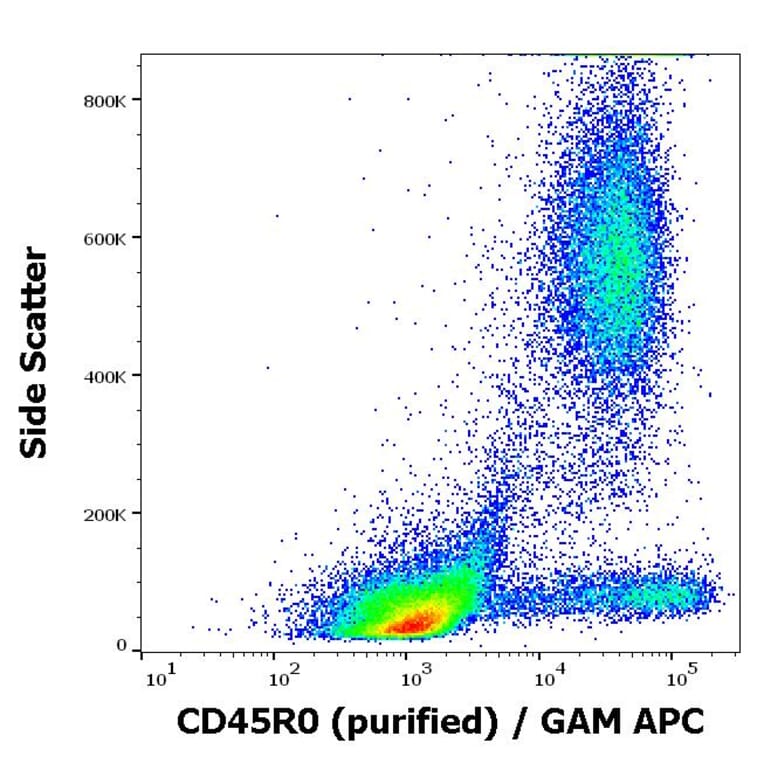 Flow Cytometry - Anti-CD45RO Antibody [UCHL1] (A86181)