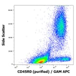 Flow Cytometry - Anti-CD45RO Antibody [UCHL1] (A86181)