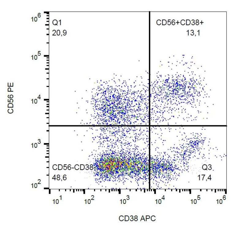 Flow Cytometry - Anti-CD38 Antibody [HIT2] (APC) (A86179) - Antibodies.com