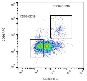 Flow Cytometry - Anti-CD38 Antibody [HIT2] (FITC) (A86184)