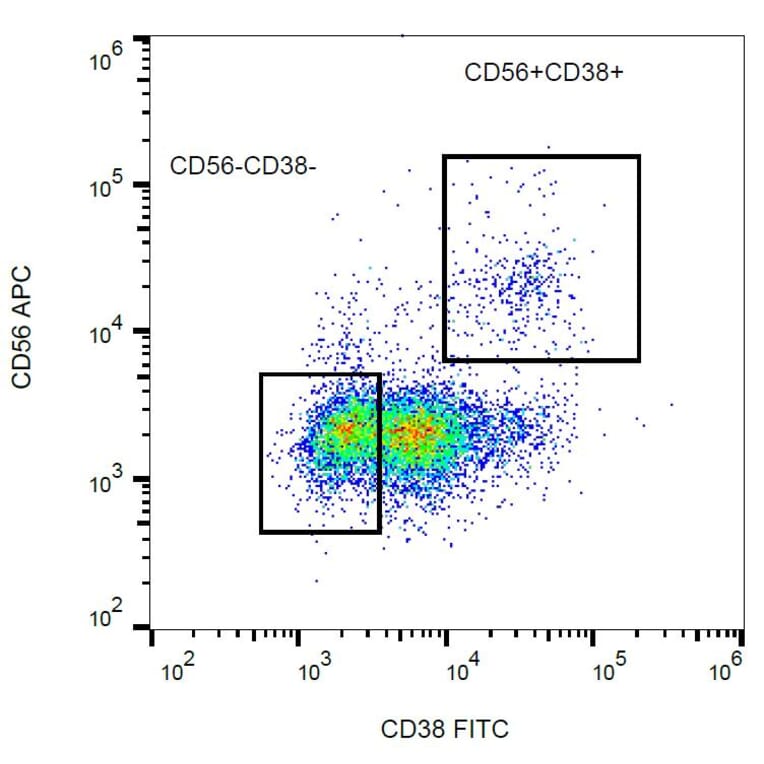 Flow Cytometry - Anti-CD38 Antibody [HIT2] (FITC) (A86184)