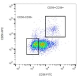 Flow Cytometry - Anti-CD38 Antibody [HIT2] (FITC) (A86184)
