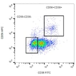 Flow Cytometry - Anti-CD38 Antibody [HIT2] (FITC) (A86183) - Antibodies.com
