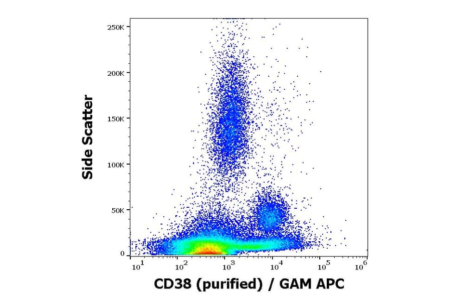 Flow Cytometry - Anti-CD38 Antibody [HIT2] (A86189)
