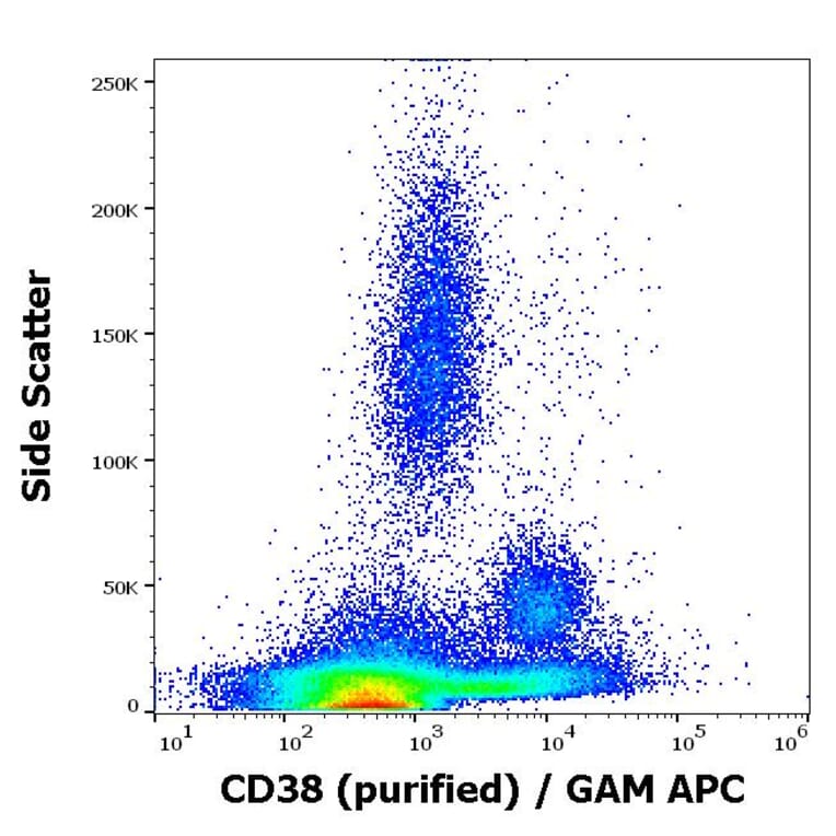 Flow Cytometry - Anti-CD38 Antibody [HIT2] (A86189)
