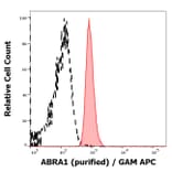 Flow Cytometry - Anti-ABRA1 Antibody [ABRA1-01] (A86190)