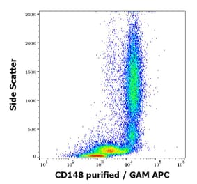 Flow Cytometry - Anti-DEP1 Antibody [MEM-CD148/05] (A86191)
