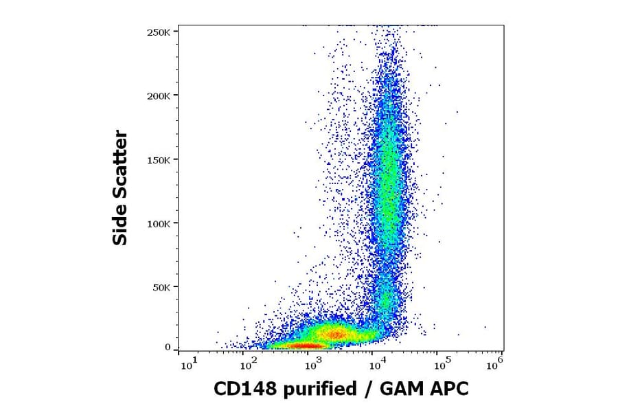 Flow Cytometry - Anti-DEP1 Antibody [MEM-CD148/05] (A86191)