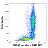 Flow Cytometry - Anti-DEP1 Antibody [MEM-CD148/05] (A86191)