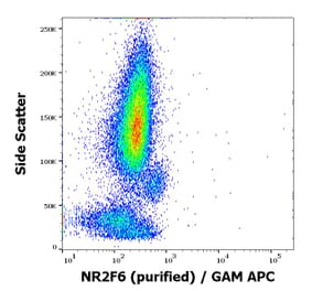 Flow Cytometry - Anti-NR2F6 Antibody [EM-51] (A86192)