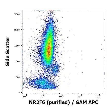 Flow Cytometry - Anti-NR2F6 Antibody [EM-51] (A86192)