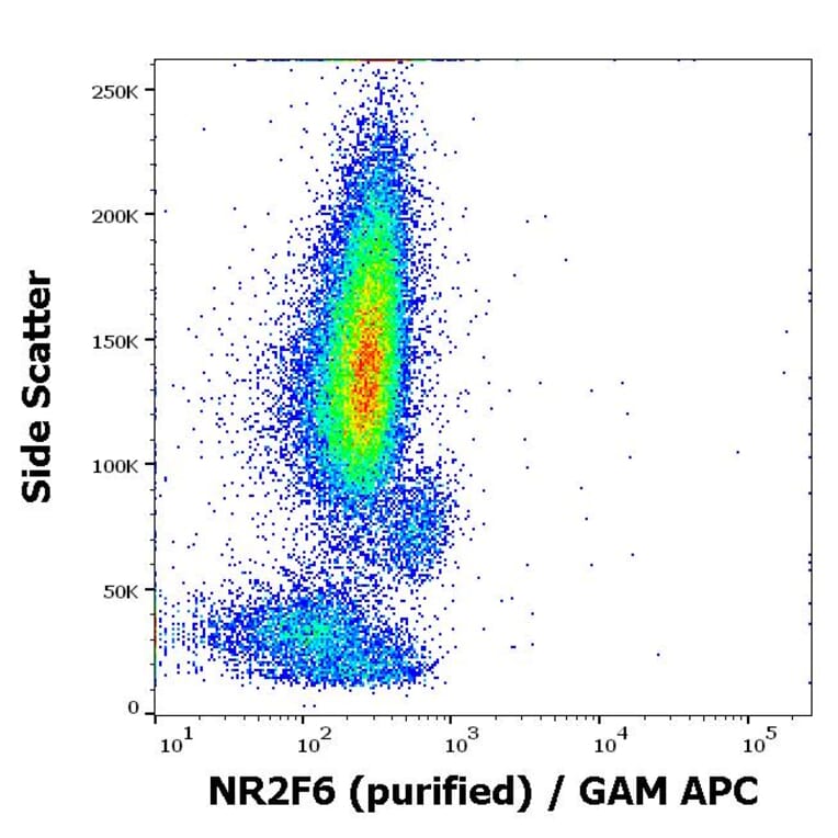 Flow Cytometry - Anti-NR2F6 Antibody [EM-51] (A86192)