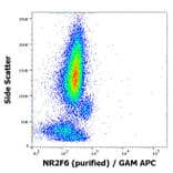 Flow Cytometry - Anti-NR2F6 Antibody [EM-51] (A86192)
