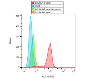 Flow Cytometry - Anti-HLA G Antibody [MEM-G/9] (FITC) (A86211) - Antibodies.com