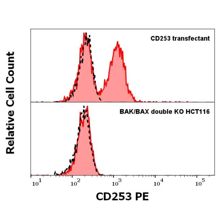 WB - Anti-TRAIL Antibody [2E5] (PE) (A86216)