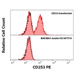 WB - Anti-TRAIL Antibody [2E5] (PE) (A86216)
