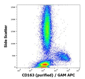 Flow Cytometry - Anti-CD163 Antibody [GHI/61] (A86219)
