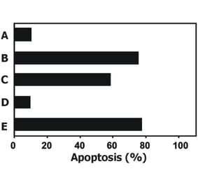 FUNC - Anti-TRAIL Antibody [2E5] - Low endotoxin, Azide free (A86220)