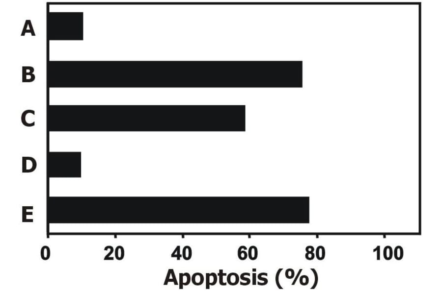 FUNC - Anti-TRAIL Antibody [2E5] - Low endotoxin, Azide free (A86220)