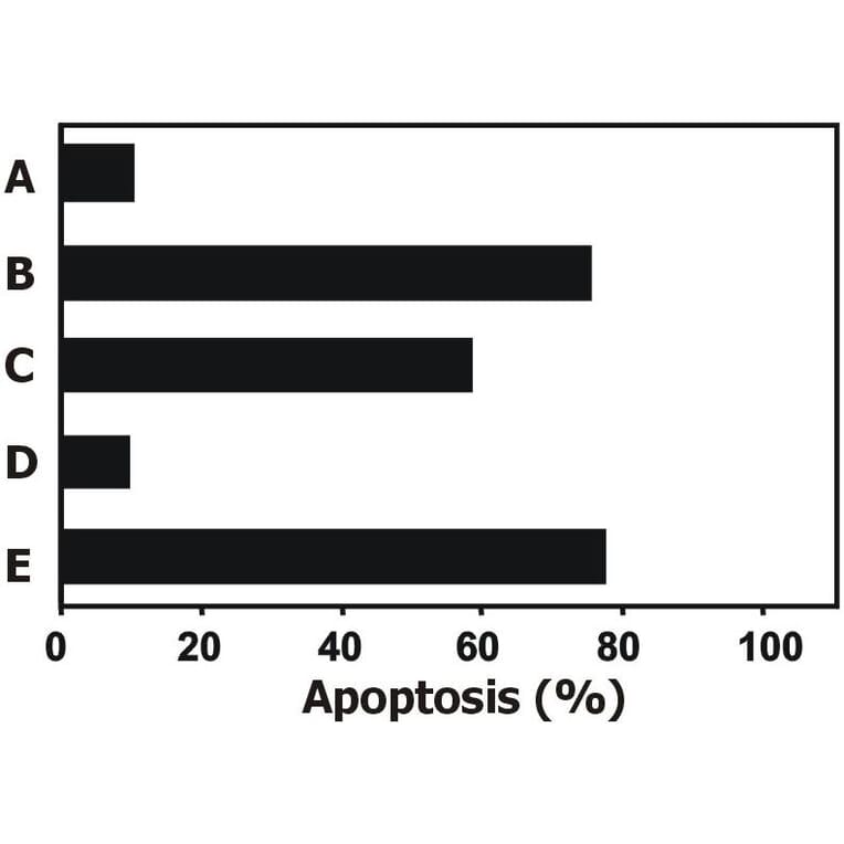 FUNC - Anti-TRAIL Antibody [2E5] - Low endotoxin, Azide free (A86220)