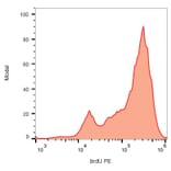 Flow Cytometry - Anti-BrdU Antibody [Bu20a] (PE) (A86217) - Antibodies.com