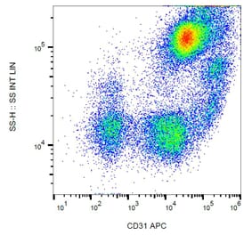 Flow Cytometry - Anti-CD31 Antibody [MEM-05] (APC) (A86225)