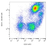 Flow Cytometry - Anti-CD31 Antibody [MEM-05] (APC) (A86225)