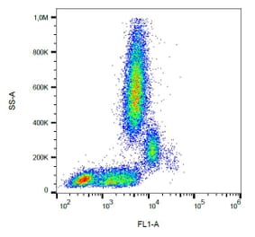 Flow Cytometry - Anti-CD31 Antibody [MEM-05] (FITC) (A86226)