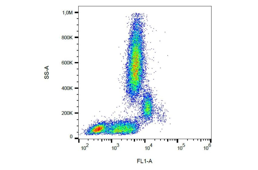 Flow Cytometry - Anti-CD31 Antibody [MEM-05] (FITC) (A86226)