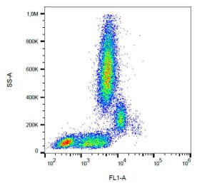 Flow Cytometry - Anti-CD31 Antibody [MEM-05] (FITC) (A86225) - Antibodies.com