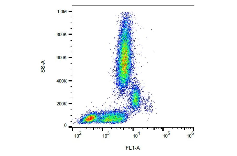 Flow Cytometry - Anti-CD31 Antibody [MEM-05] (FITC) (A86225) - Antibodies.com