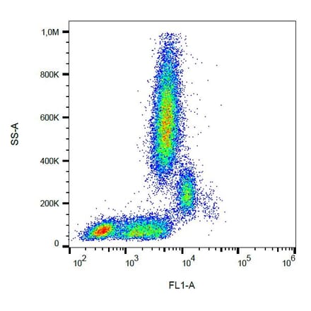 Flow Cytometry - Anti-CD31 Antibody [MEM-05] (FITC) (A86225) - Antibodies.com