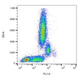 Flow Cytometry - Anti-CD31 Antibody [MEM-05] (FITC) (A86225) - Antibodies.com