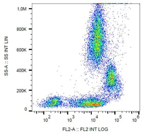 Flow Cytometry - Anti-CD31 Antibody [MEM-05] (PE) (A86226) - Antibodies.com