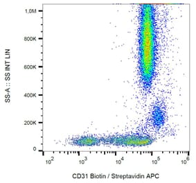 Flow Cytometry - Anti-CD31 Antibody [MEM-05] (Biotin) (A86233)