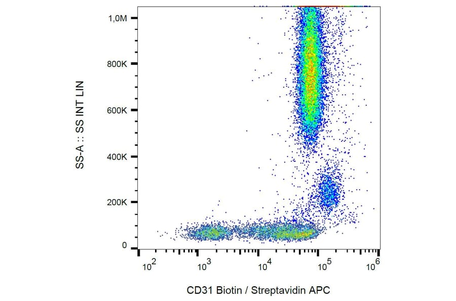 Flow Cytometry - Anti-CD31 Antibody [MEM-05] (Biotin) (A86233)