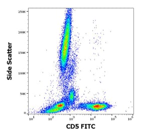 Flow Cytometry - Anti-CD5 Antibody [L17F12] (FITC) (A86235)