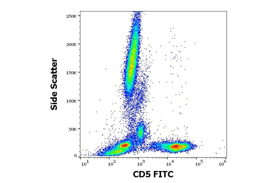 Flow Cytometry - Anti-CD5 Antibody [L17F12] (FITC) (A86235)