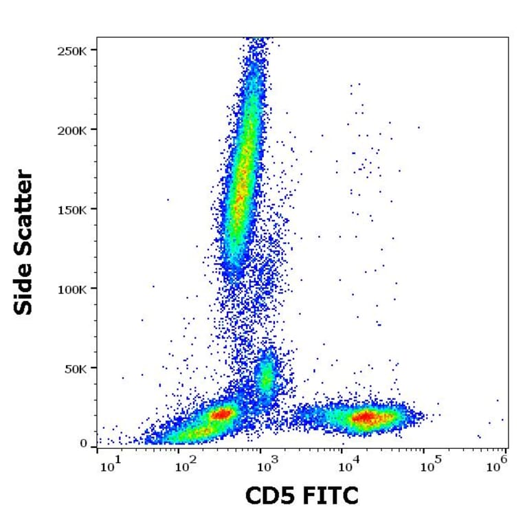 Flow Cytometry - Anti-CD5 Antibody [L17F12] (FITC) (A86235)