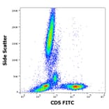 Flow Cytometry - Anti-CD5 Antibody [L17F12] (FITC) (A86235)