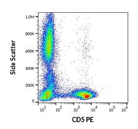 Flow Cytometry - Anti-CD5 Antibody [L17F12] (PE) (A86236)