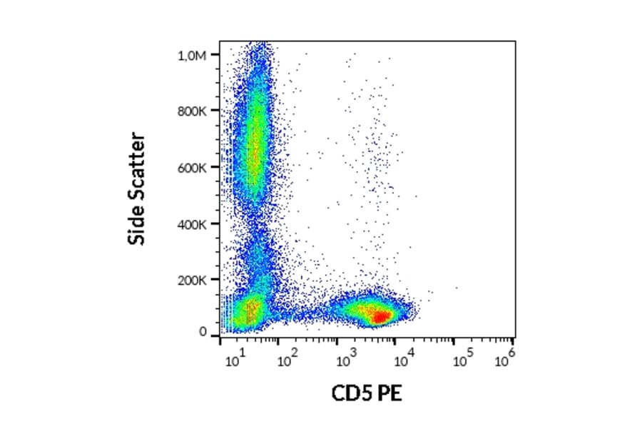 Flow Cytometry - Anti-CD5 Antibody [L17F12] (PE) (A86236)